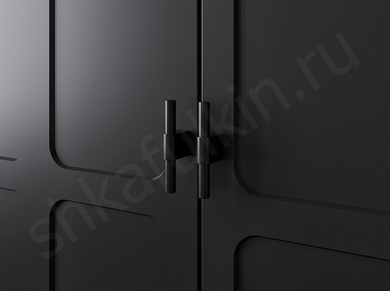 Изображение Корпусный шкаф-купе две двери Оникс 4