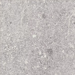 F031 ST78 Гранит Кашиа светло-серый