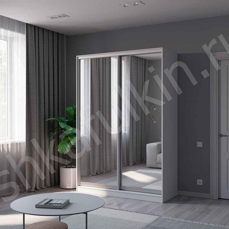 Шкаф-купе Зирро Светлые Белый Минимализм 2х створчатые Гостиная Для вещей