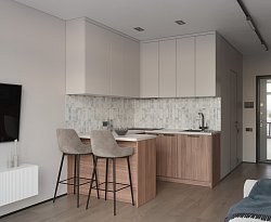 Мурано ЖК Ола-Апарт 29 м² Кухня