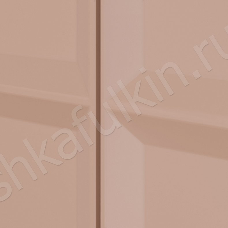Изображение Встроенные шкафы 5