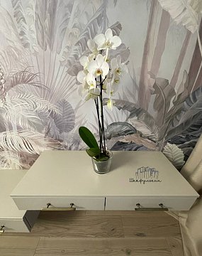 Изображение Изображение Заказ №8904