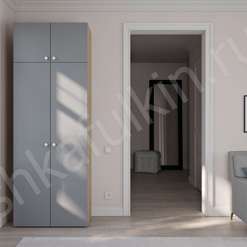 Шкаф Тони Темные Светлые Серый Коричневый Черный Белый Минимализм 2х створчатые Гостиная Для вещей 4