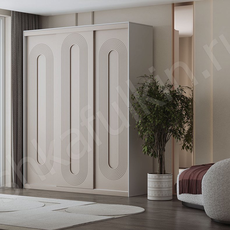 Дзен Шкаф-купе