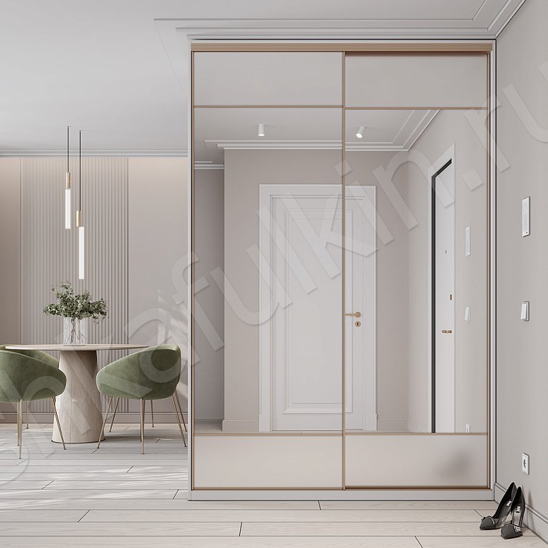 Шкаф-купе Сайрус Светлые Современный 2х створчатые Прихожая Для вещей 1