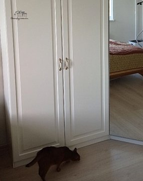 Изображение Изображение Заказ №9310