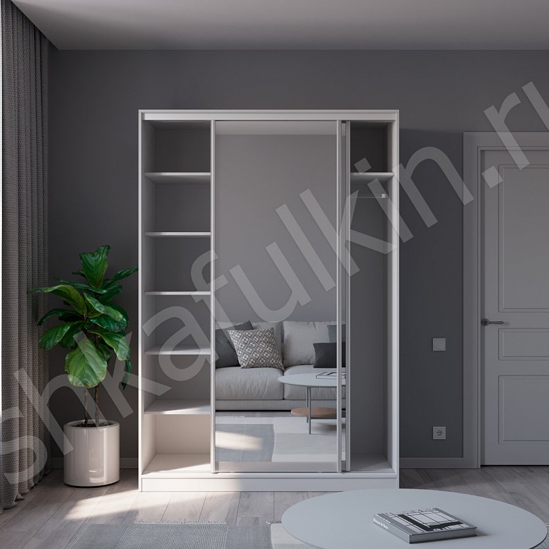 Шкаф-купе Зирро Светлые Белый Минимализм 2х створчатые Гостиная Для вещей 4