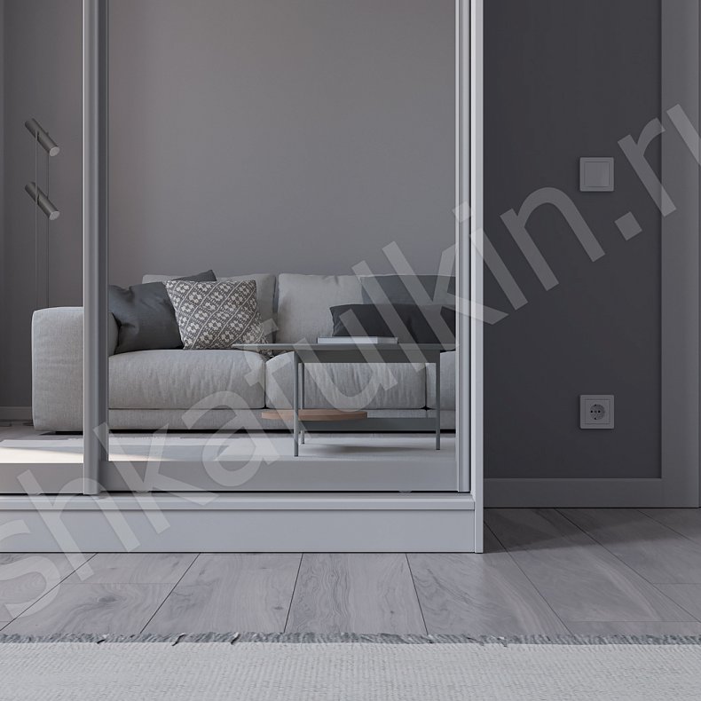 Шкаф-купе Зирро Светлые Белый Минимализм 2х створчатые Гостиная Для вещей 2